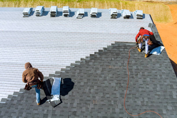 Best Roof Repair Services  in Brodhead, WI