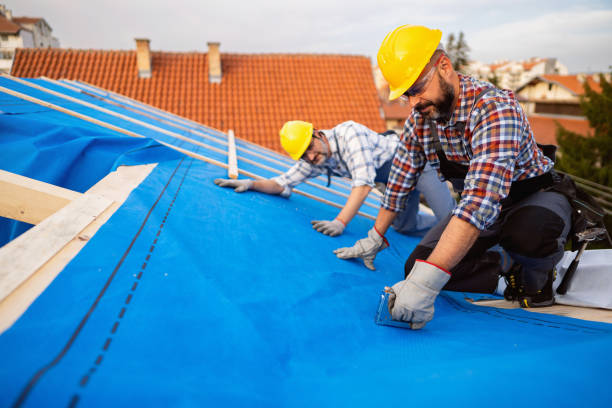 Best Flat Roof Repair Services  in Brodhead, WI
