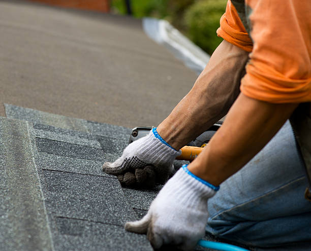 Best Roof Maintenance Services  in Brodhead, WI