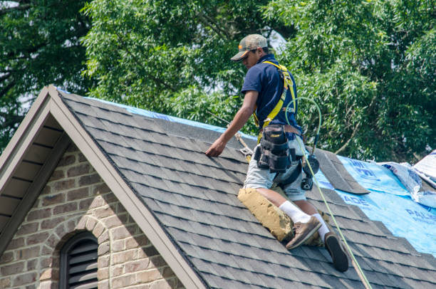 Best Gutter Installation and Roofing  in Brodhead, WI